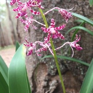 Meet your Posher, Joanne